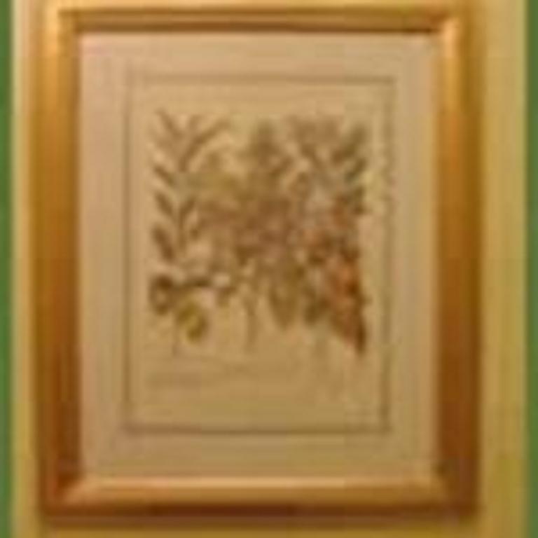 Cobb Lane Bed And Breakfast Birmingham Extérieur photo